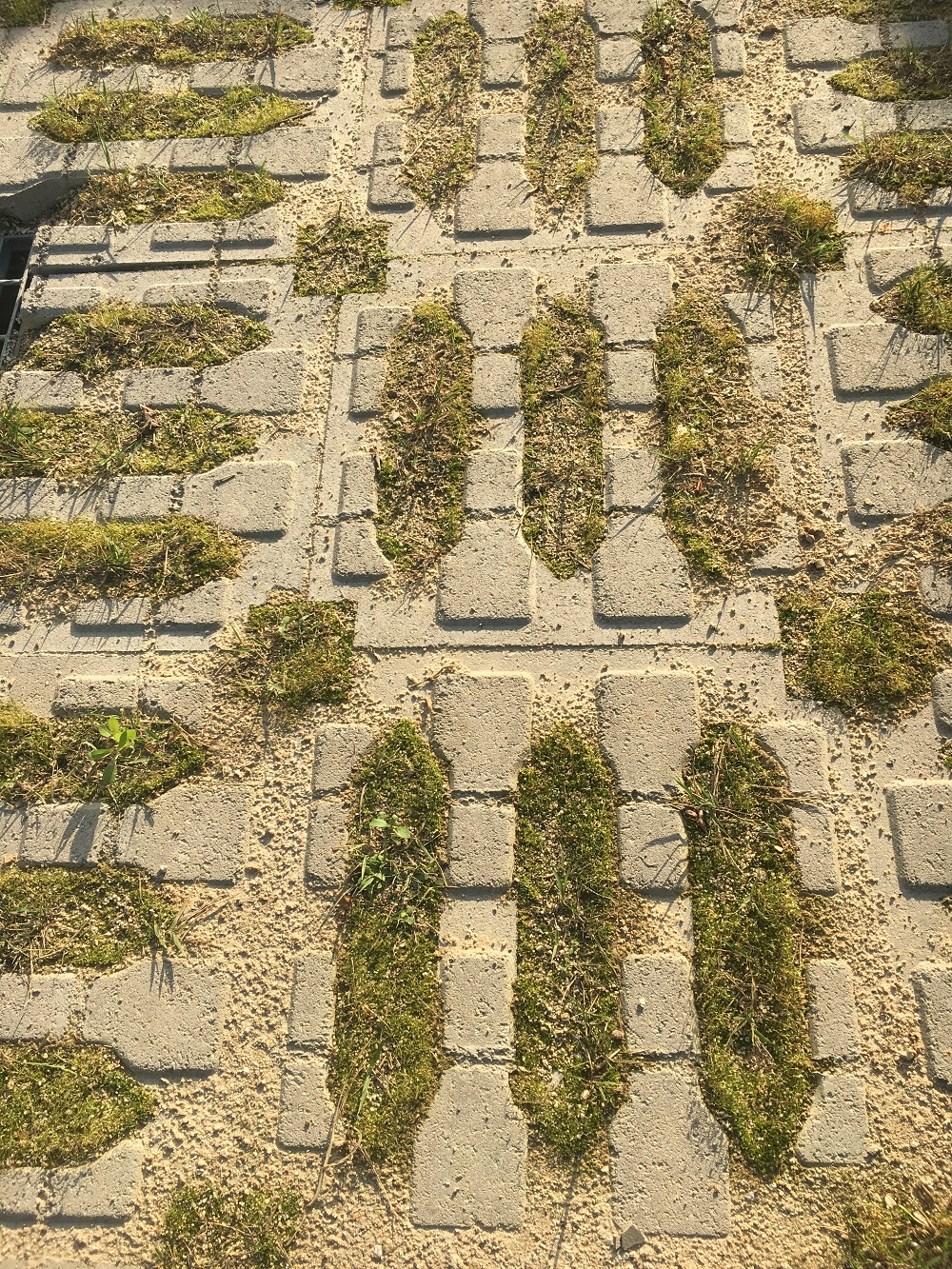 KakaoTalk_20190626_090422433.jpg