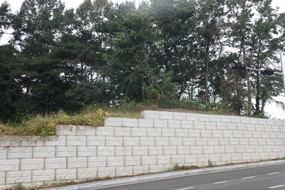 피씨IMG_3412.JPG