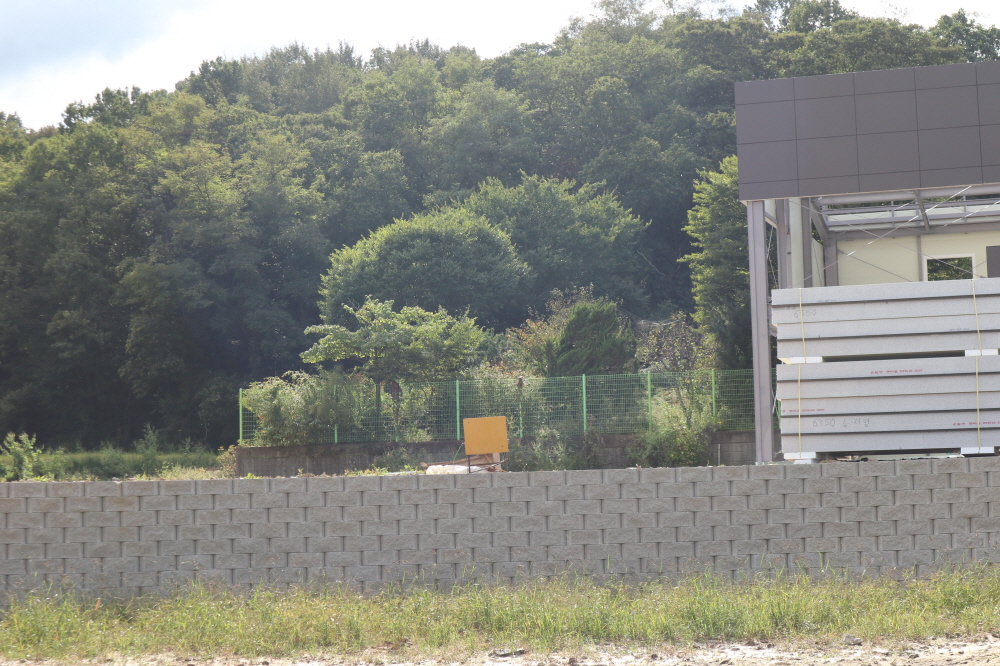 피씨IMG_3455.JPG