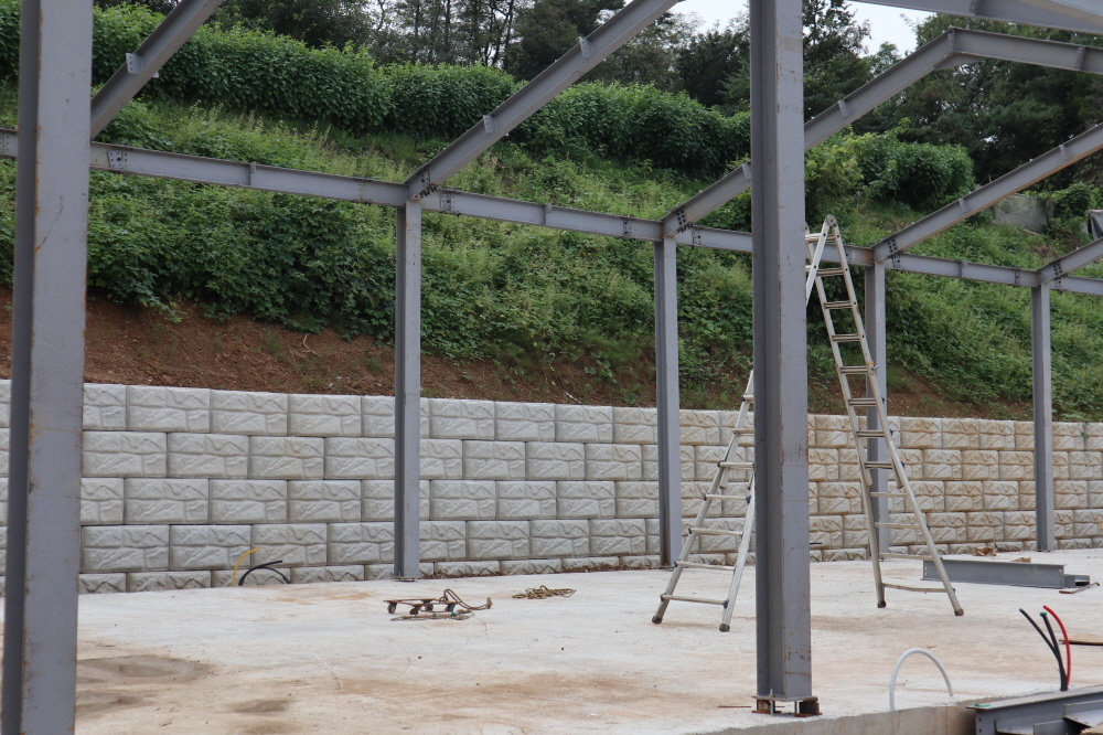 피씨IMG_3423.JPG