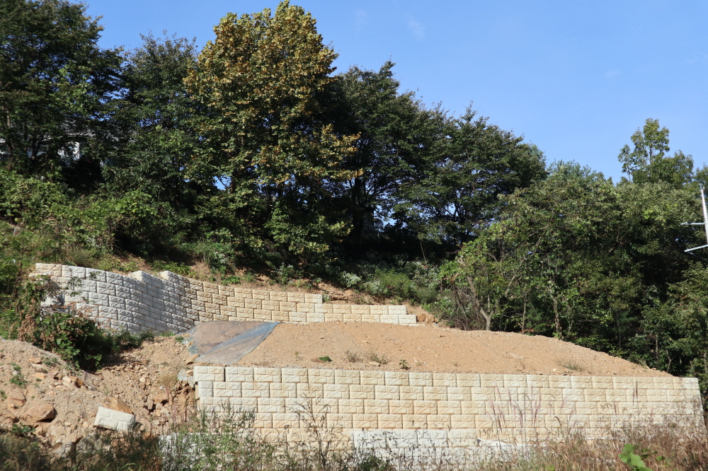 피씨IMG_3568.JPG