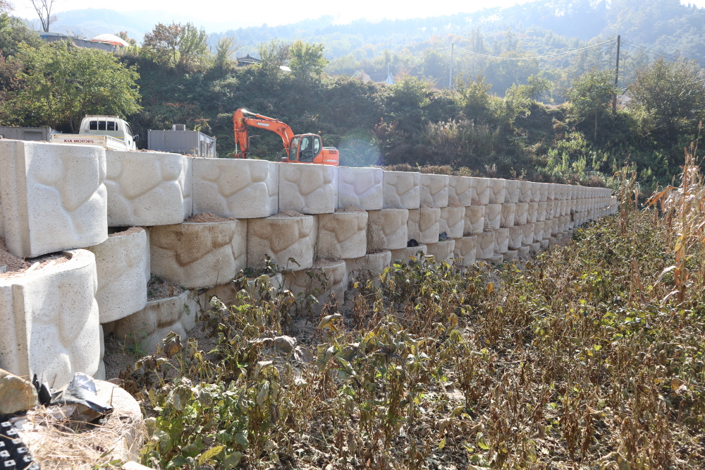 피씨IMG_3603.JPG