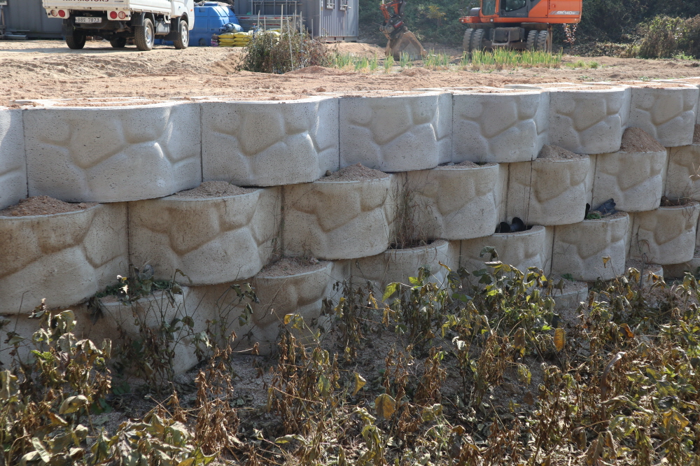 피씨IMG_3605.JPG