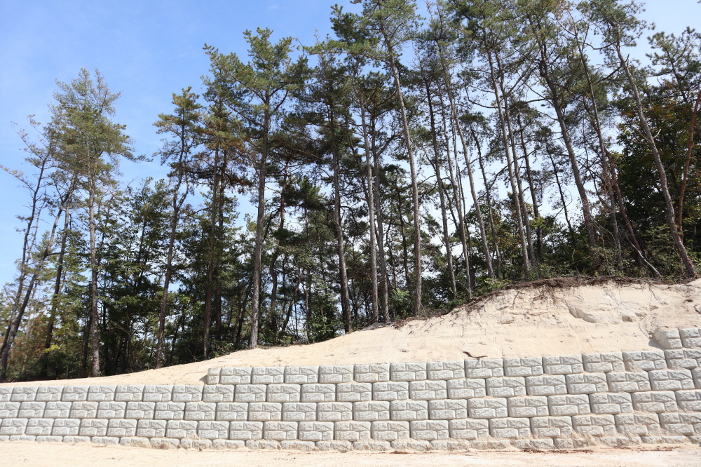 피씨IMG_3571.JPG