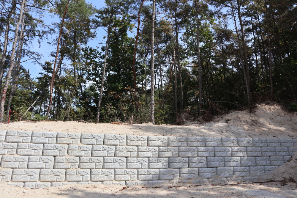 피씨IMG_3574.JPG