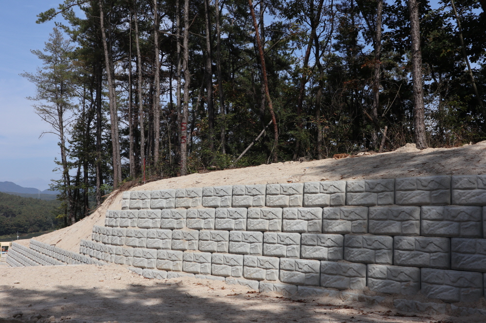 피씨IMG_3573.JPG
