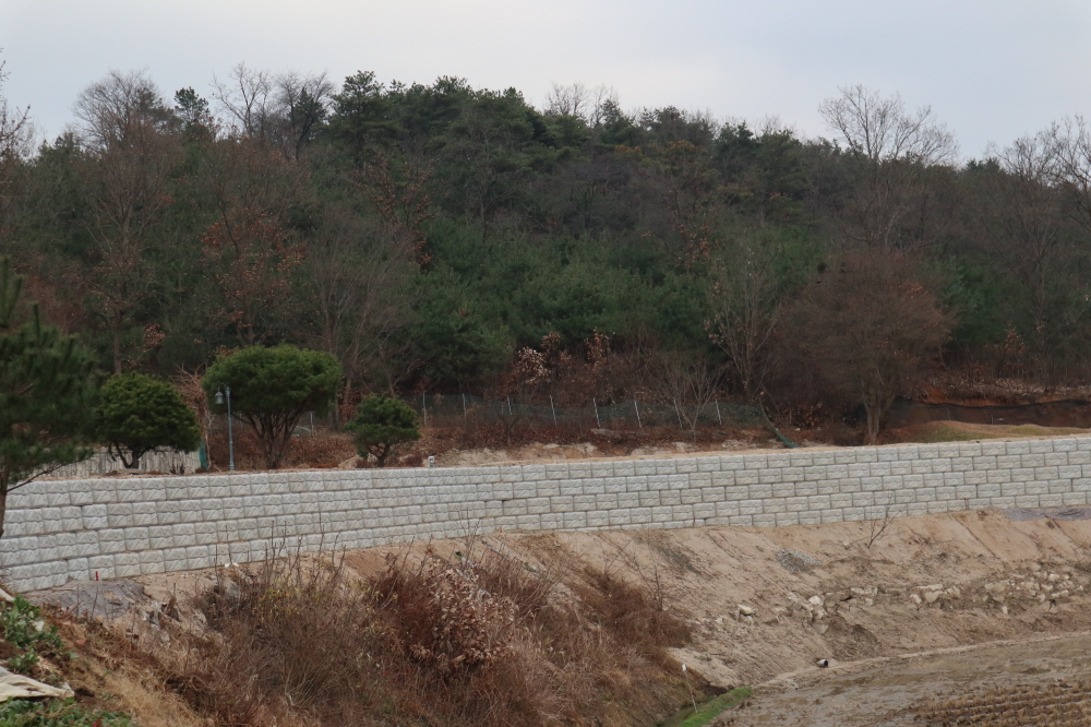 피씨IMG_3673.JPG