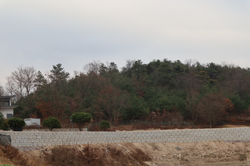 피씨IMG_3670.JPG