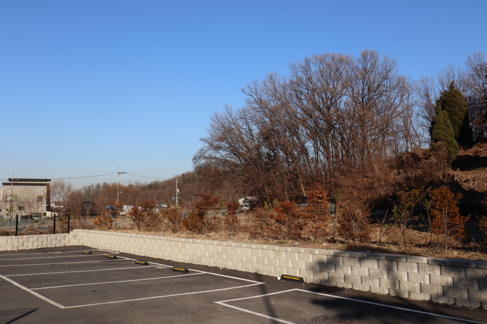 피씨IMG_3798.JPG