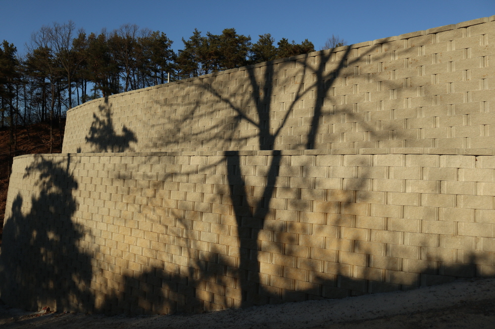 피씨IMG_3816.JPG