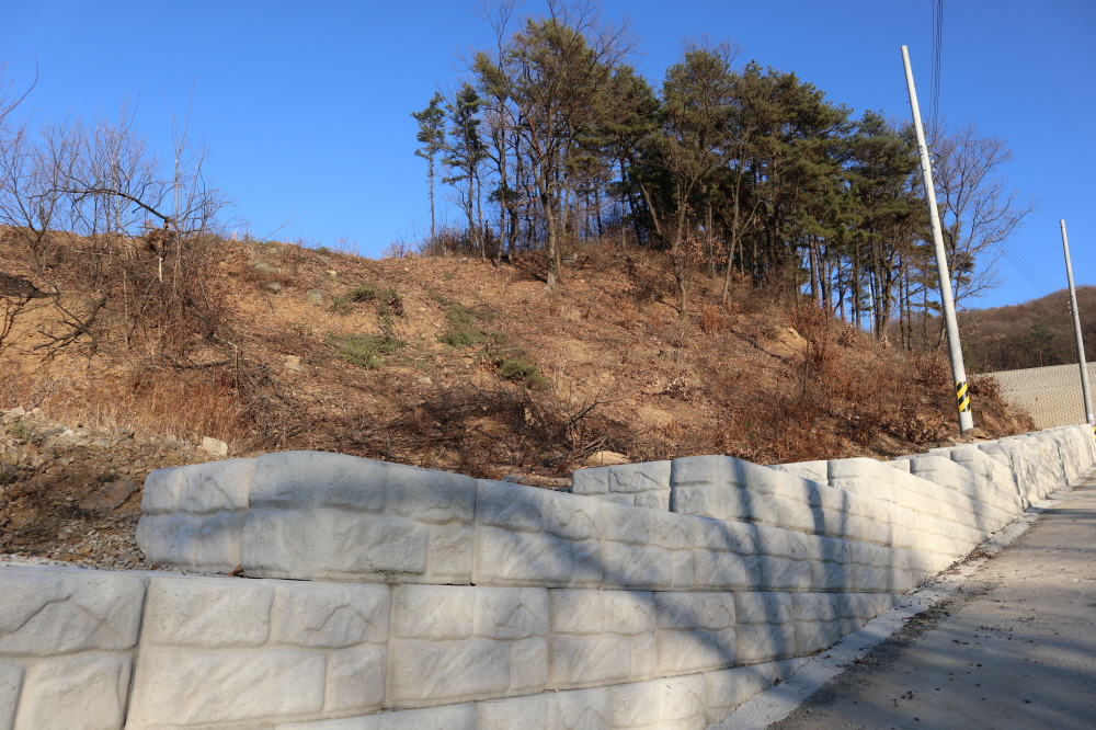 피씨IMG_3804.JPG