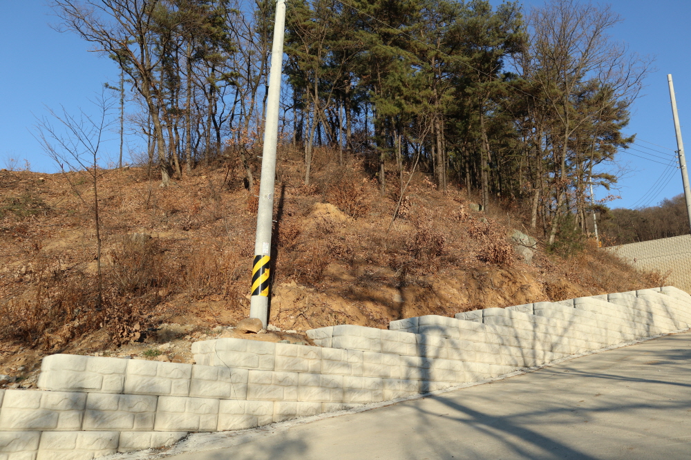 피씨IMG_3809.JPG