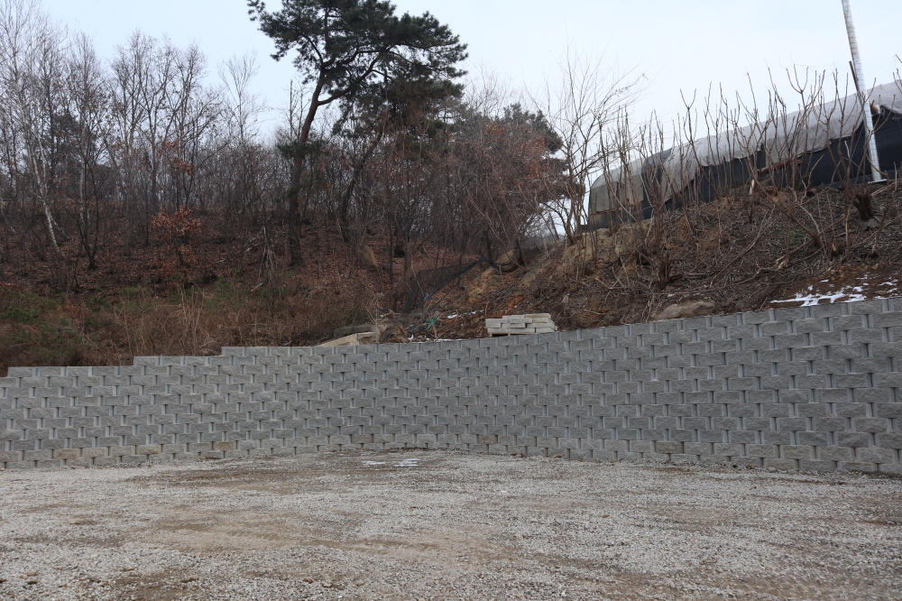 피씨IMG_3878.JPG