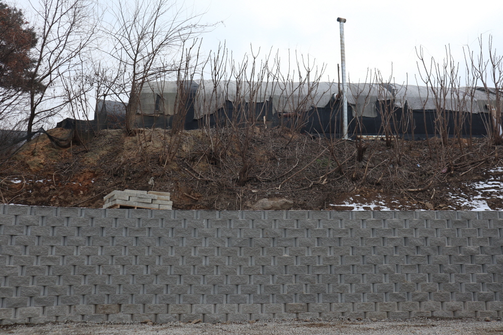 피씨IMG_3879.JPG