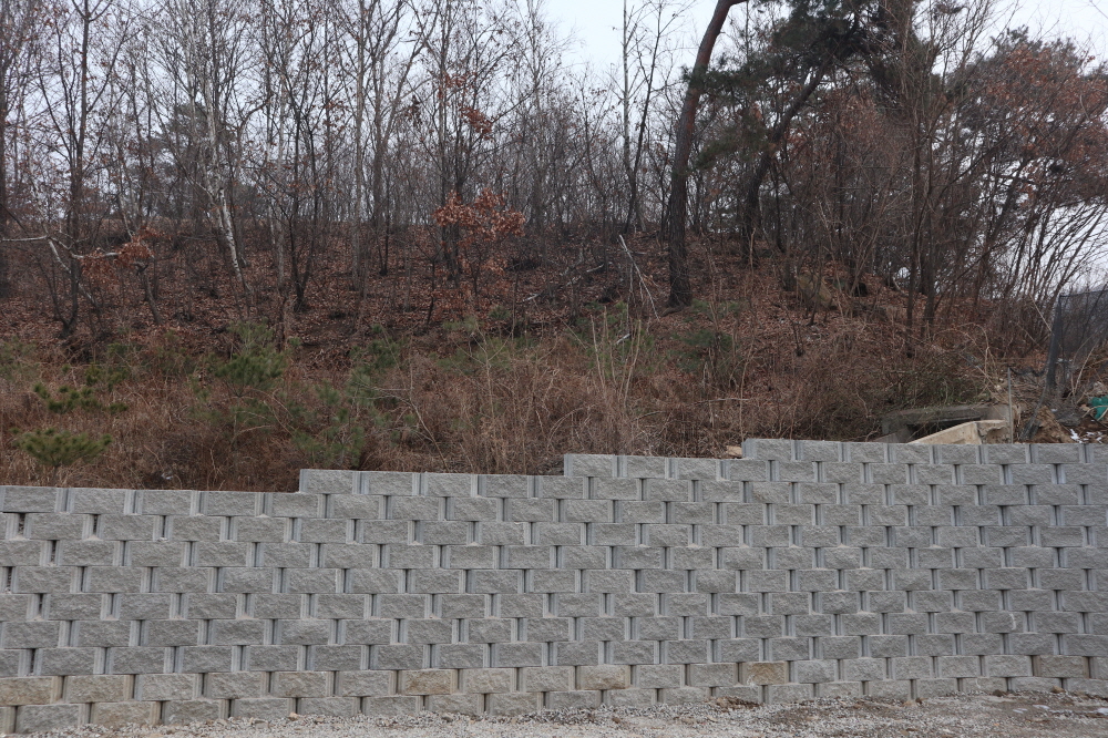 피씨IMG_3880.JPG