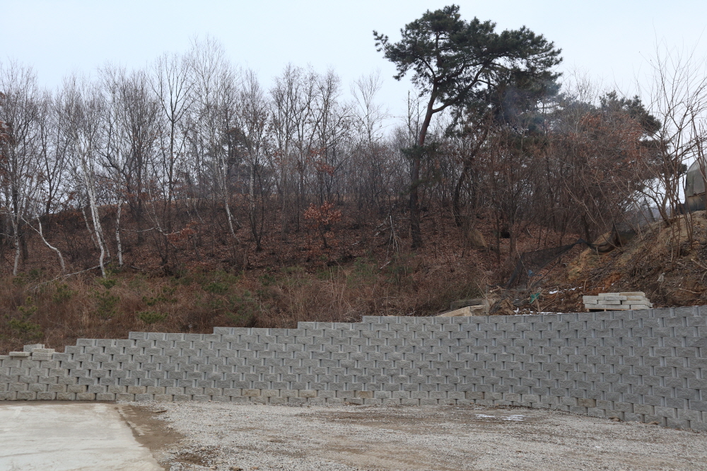 피씨IMG_3881.JPG