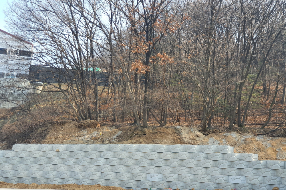 피씨KakaoTalk_20201229_091221653_20.jpg