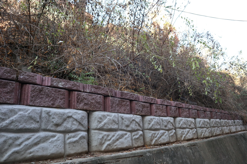 피씨IMG_3789.JPG