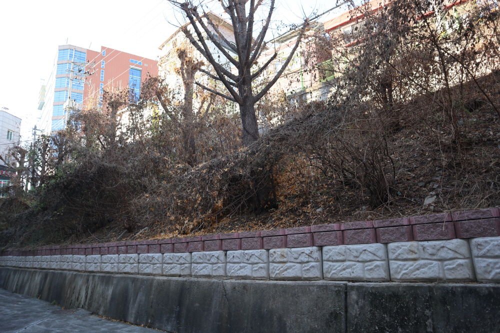 피씨IMG_3791.JPG