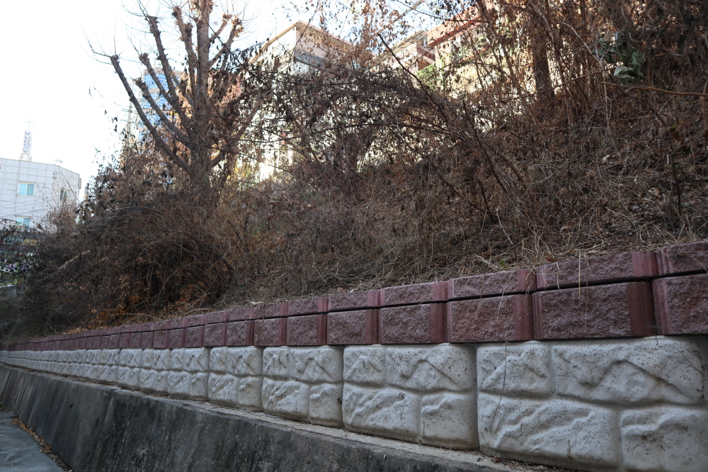 피씨IMG_3790.JPG
