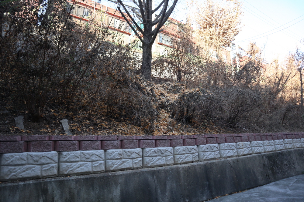피씨IMG_3792.JPG