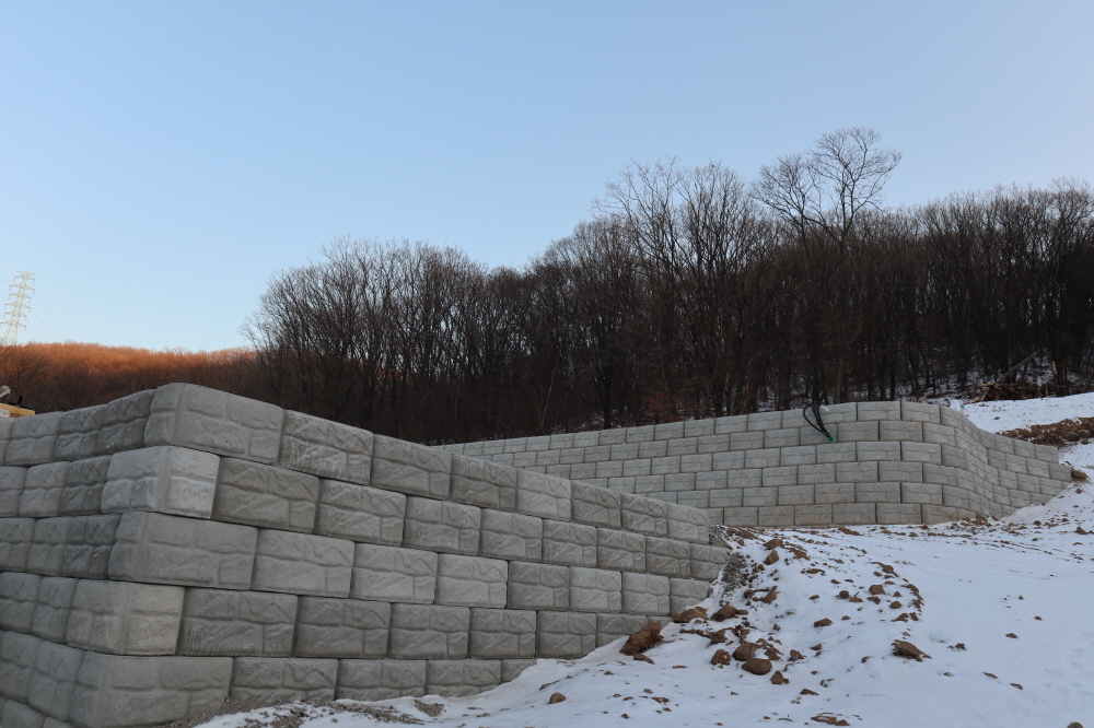 피씨IMG_4031.JPG