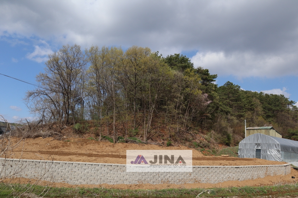 피씨IMG_4425.JPG