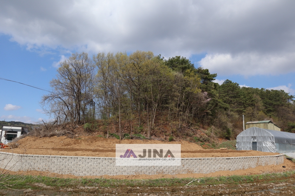 피씨IMG_4427.JPG