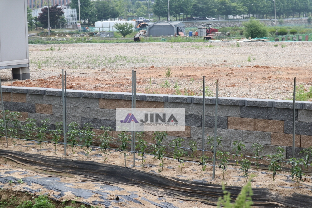 피씨IMG_4758.JPG