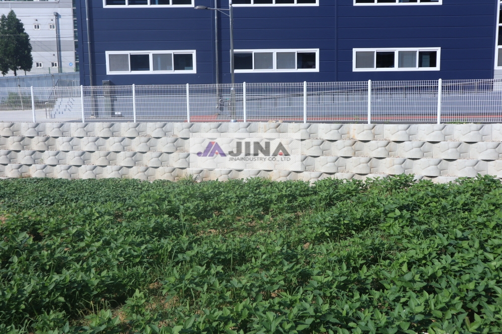 피씨IMG_5068.JPG