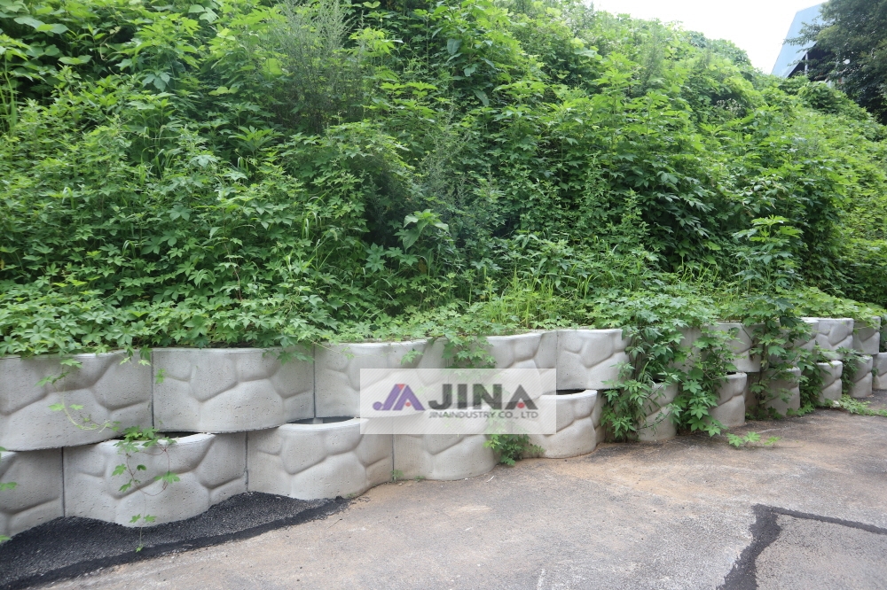 피씨IMG_5017.JPG