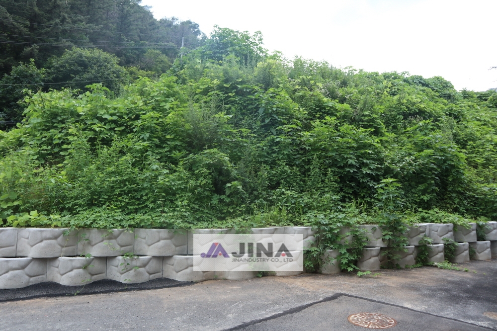 피씨IMG_5019.JPG