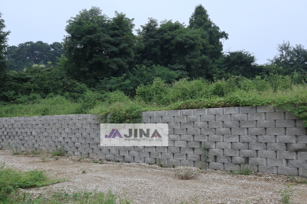 피씨IMG_5424.JPG