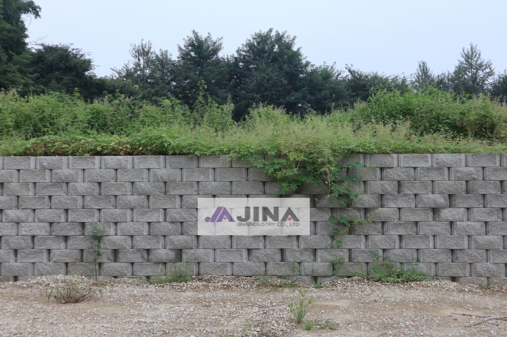 피씨IMG_5430.JPG