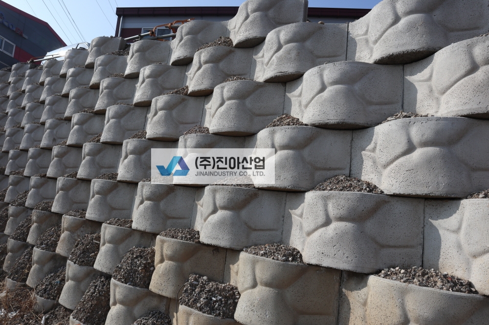 피씨IMG_6104.JPG