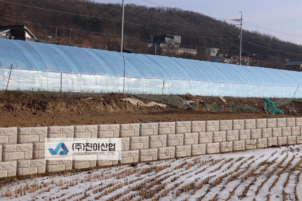 피씨IMG_6696.JPG