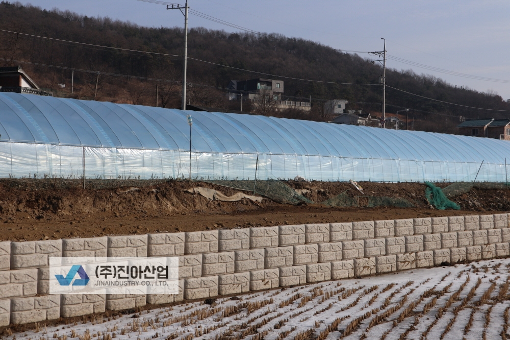 피씨IMG_6697.JPG