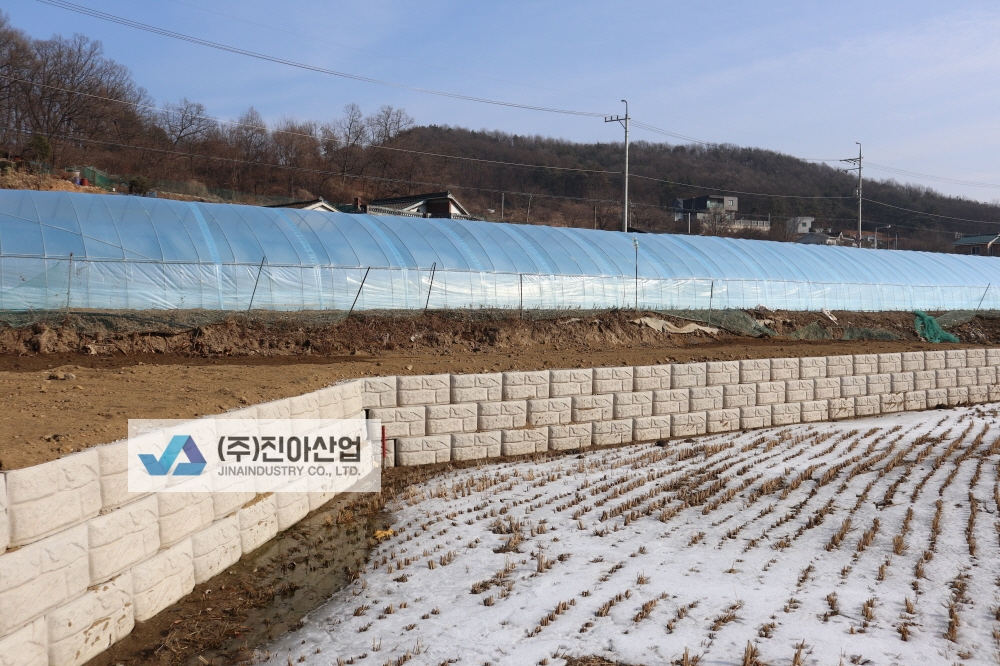 피씨IMG_6699.JPG