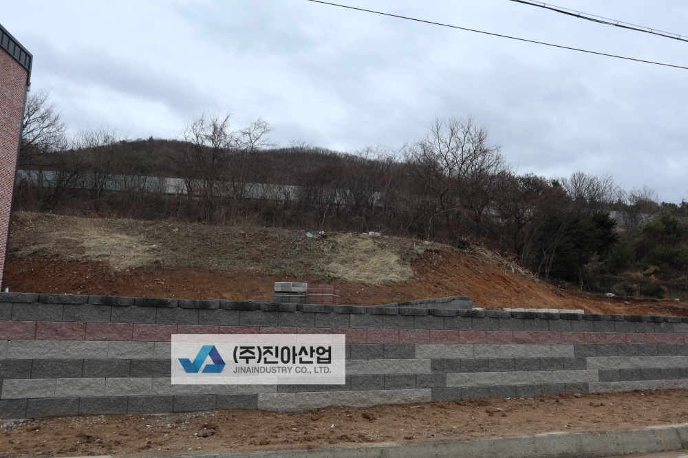 피씨IMG_7259.JPG