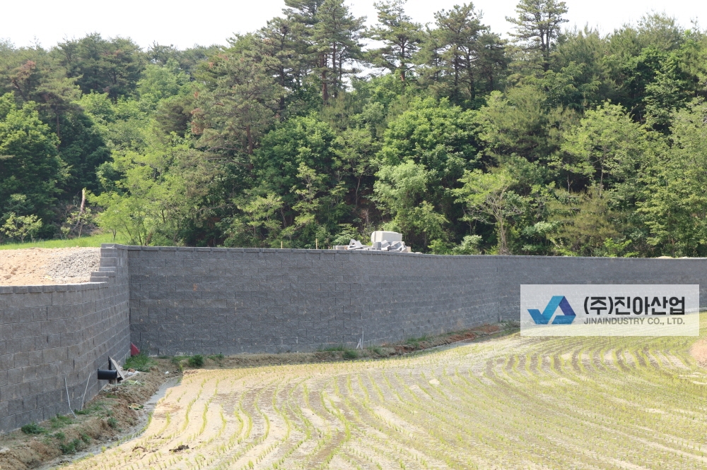 피씨IMG_7704.JPG