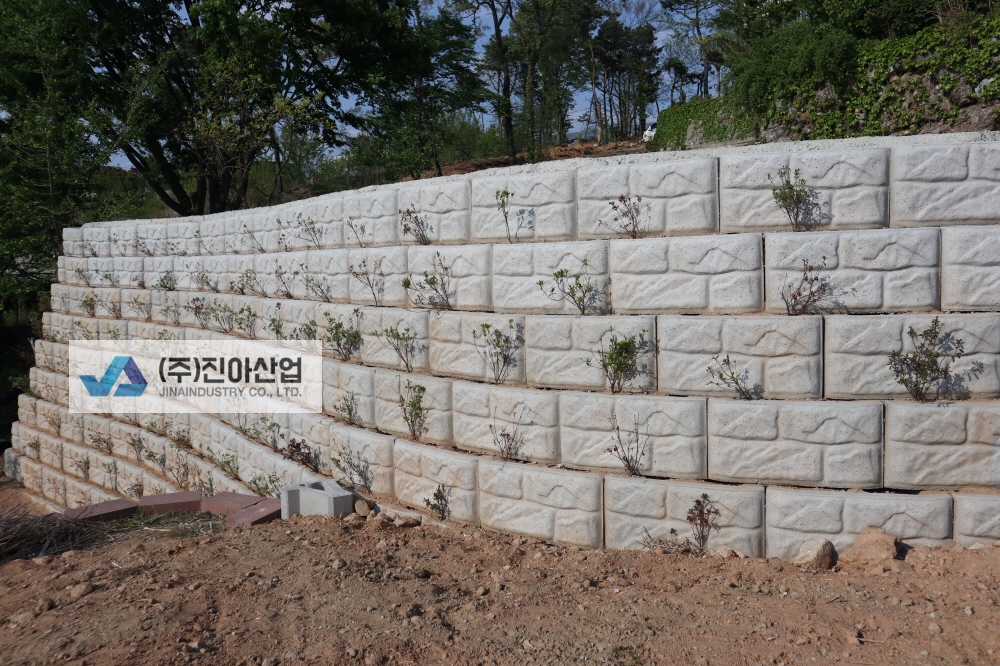 피씨IMG_7487.JPG