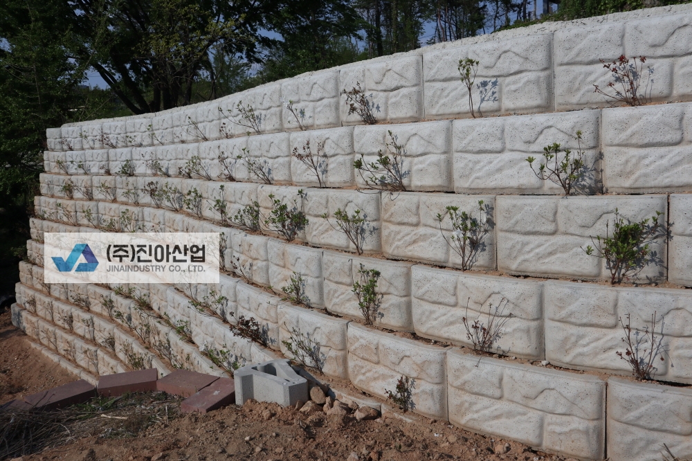 피씨IMG_7489.JPG