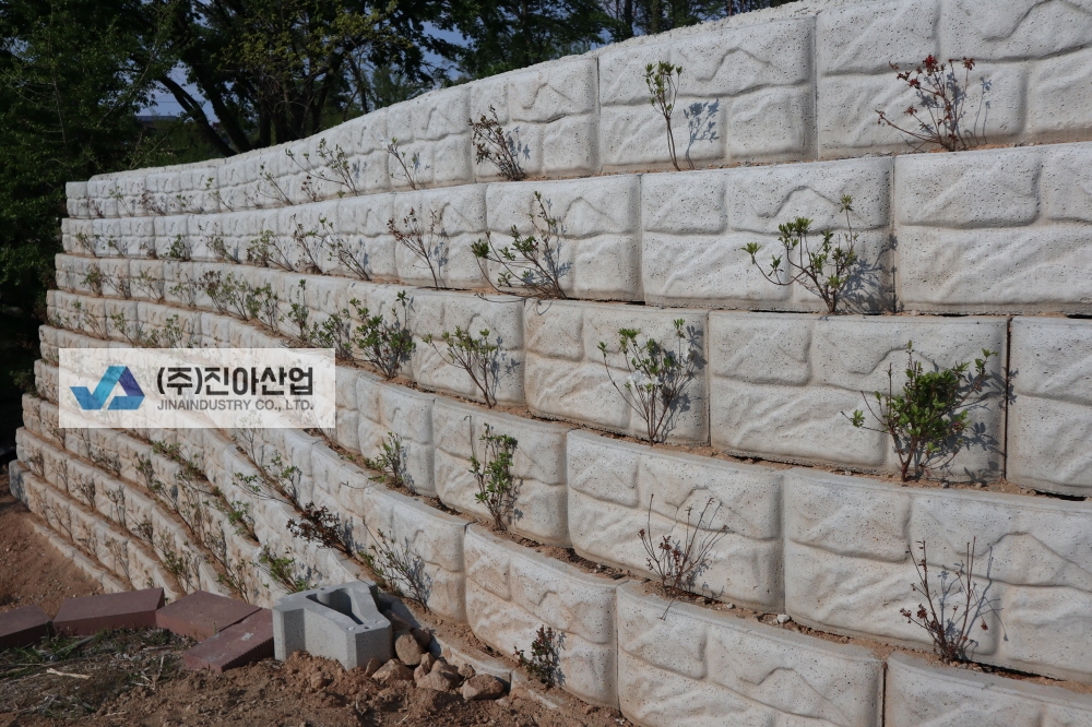 피씨IMG_7490.JPG