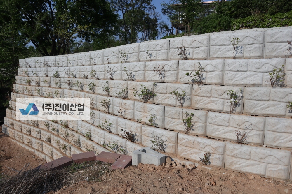 피씨IMG_7491.JPG