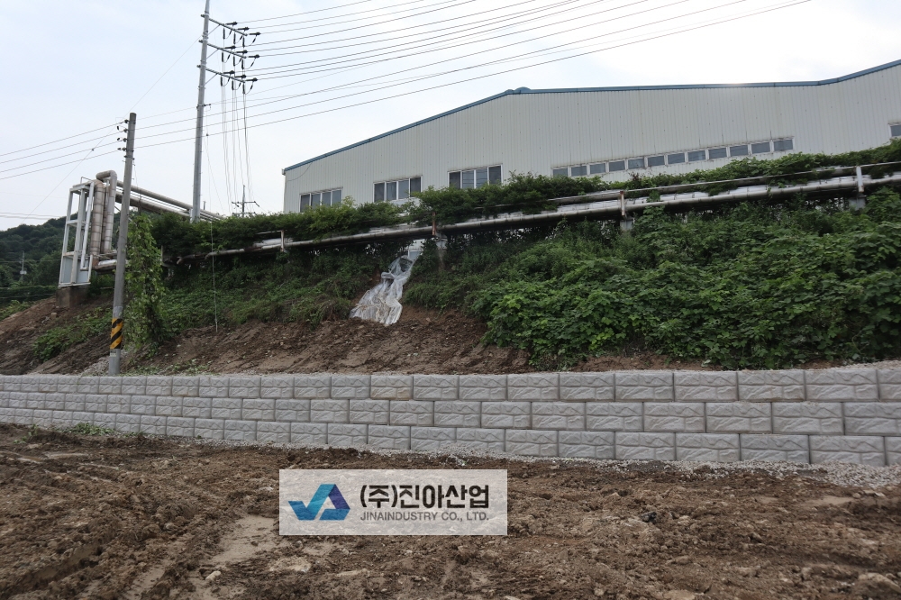 피씨IMG_8247.JPG