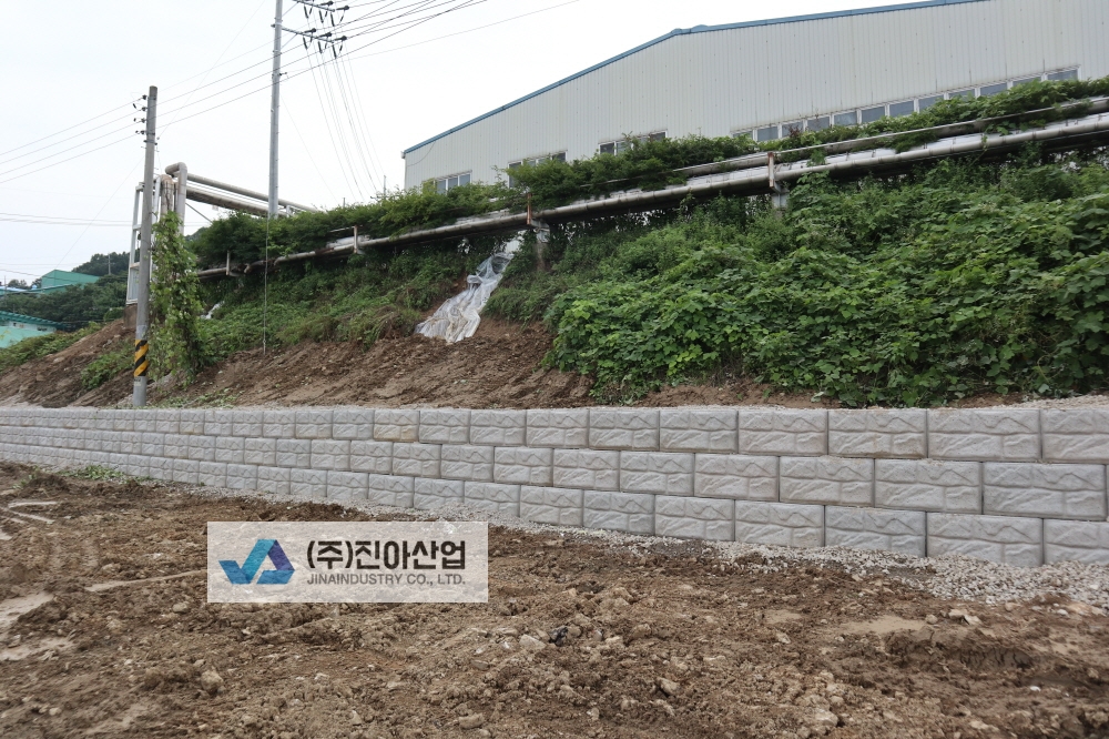 피씨IMG_8248.JPG