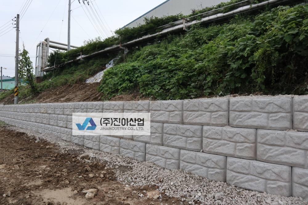 피씨IMG_8249.JPG