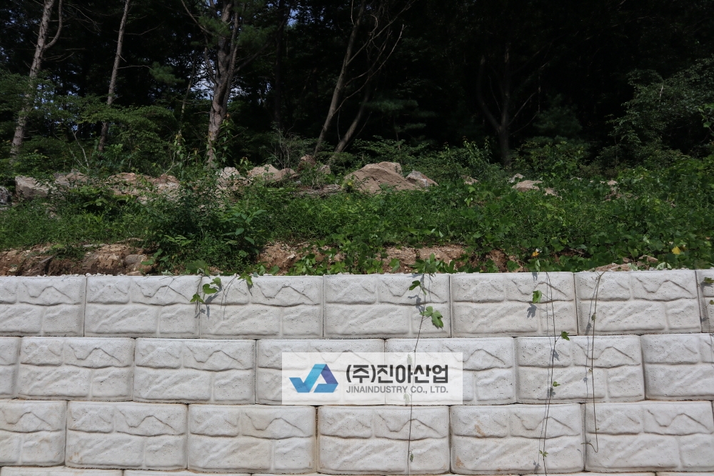 피씨IMG_8293.JPG
