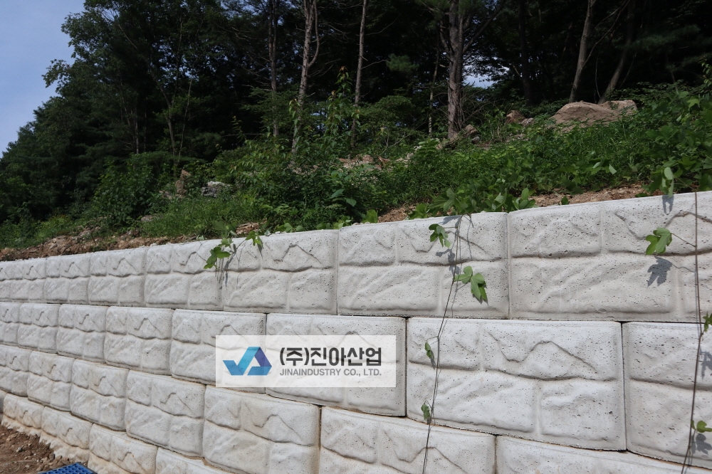 피씨IMG_8294.JPG