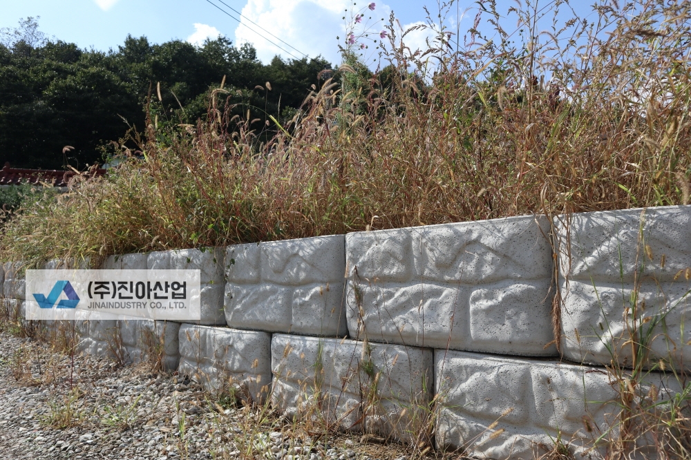 피씨IMG_8586.JPG